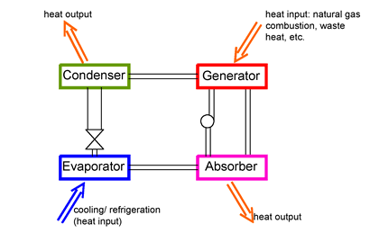 The Absorption Process